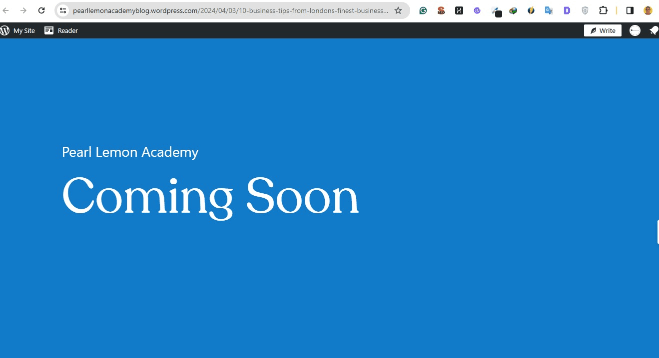 WordPress publish button location