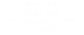 Chelsea bridge logo white